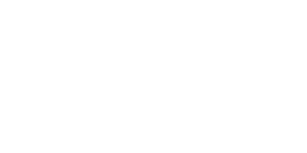 Dynamax