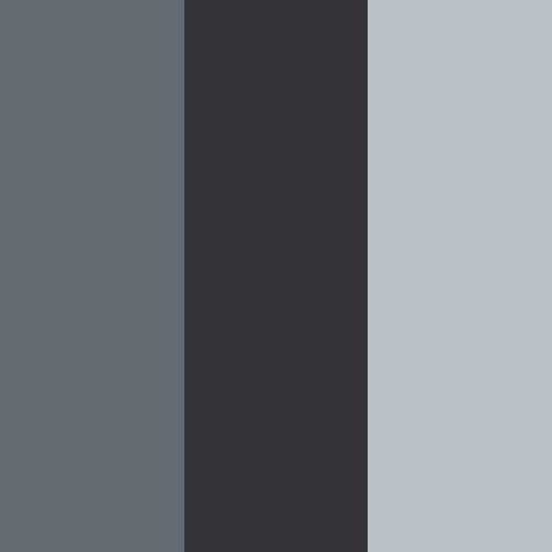 decor exterior color swatch 2026 precept black bird