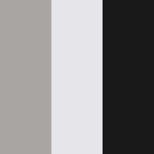decor exterior color swatch 2027 bay star sport obsidian