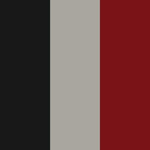 decor exterior color swatch 2027 dutch star cloudfire