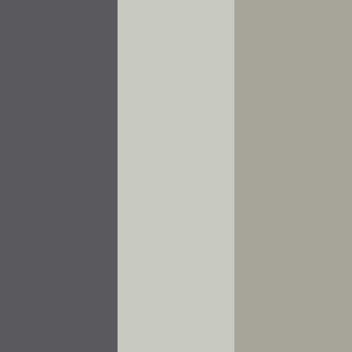 decor exterior color swatch 2027 essex champagne