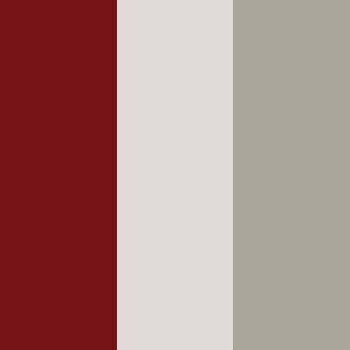 decor exterior color swatch 2027 northern star fireleaf