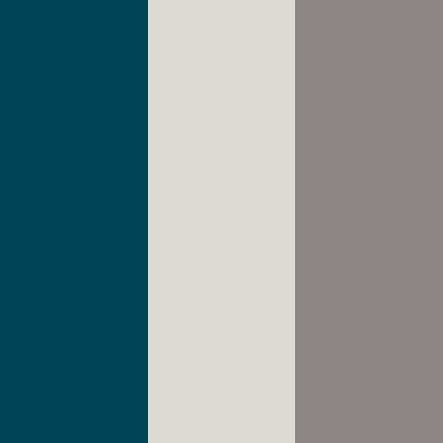 decor exterior color swatch 2027 super star artic