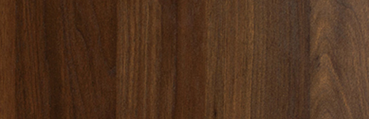 Travato Walnut Interior Wood Option