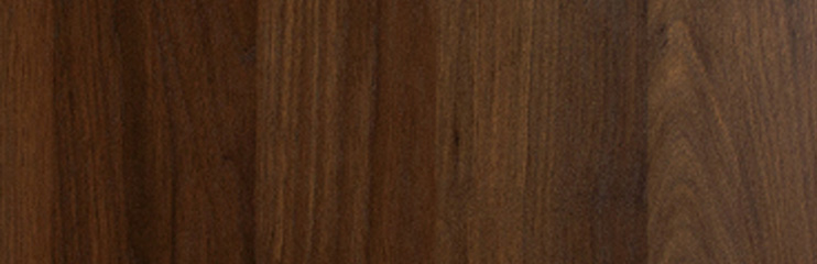 Travato Walnut Interior Wood Option